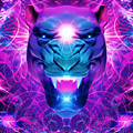 Call of the Jaguar